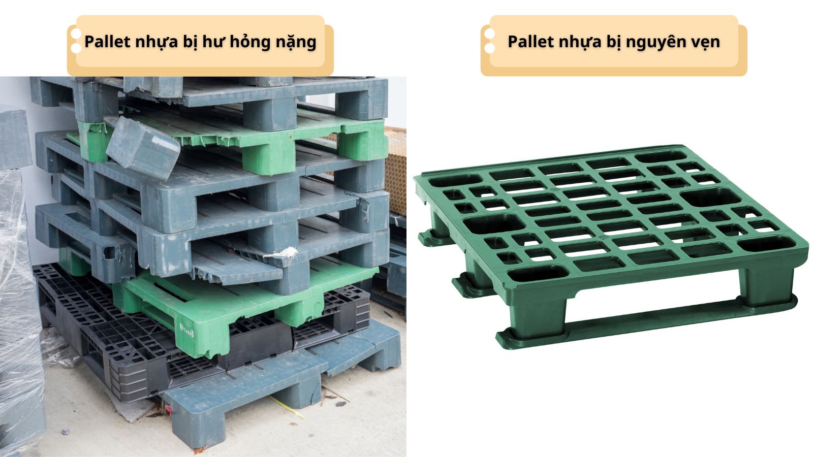 Tình trạng pallet ảnh hưởng trực tiếp đến giá.
