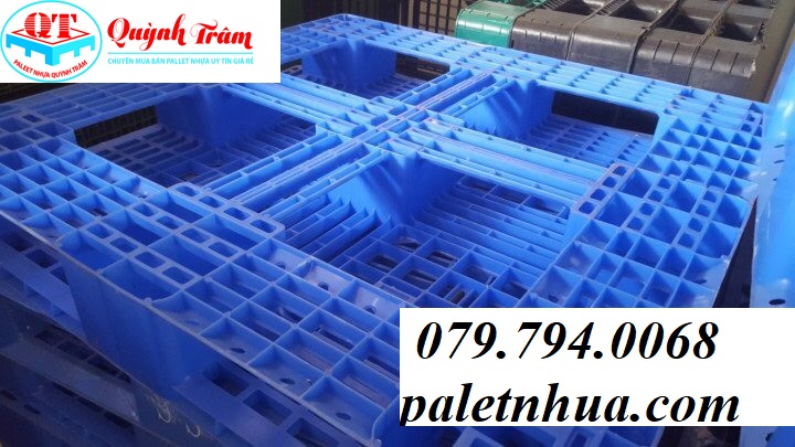 đại lí bán pallet nhựa tại Bà Rịa