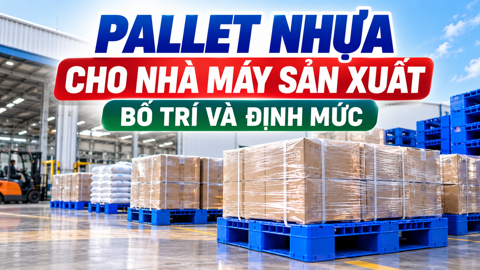 Pallet Nhựa Cho Nhà Máy Sản Xuất: Bố Trí Và Định Mức