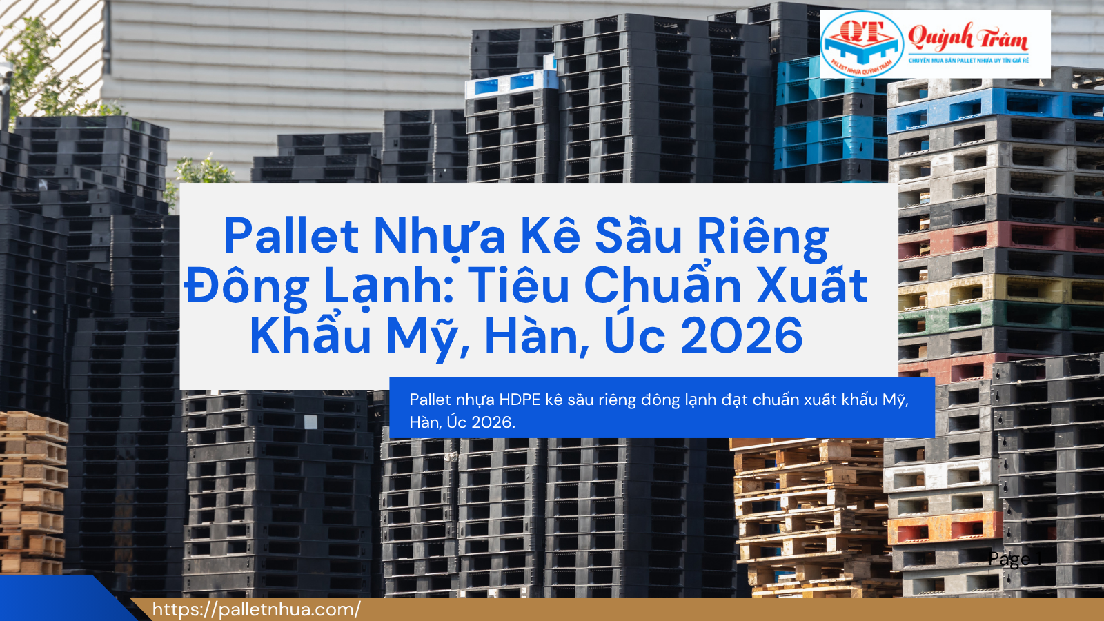 Pallet Nhựa Kê Sầu Riêng Đông Lạnh: Tiêu Chuẩn Xuất Khẩu Mỹ, Hàn, Úc 2026